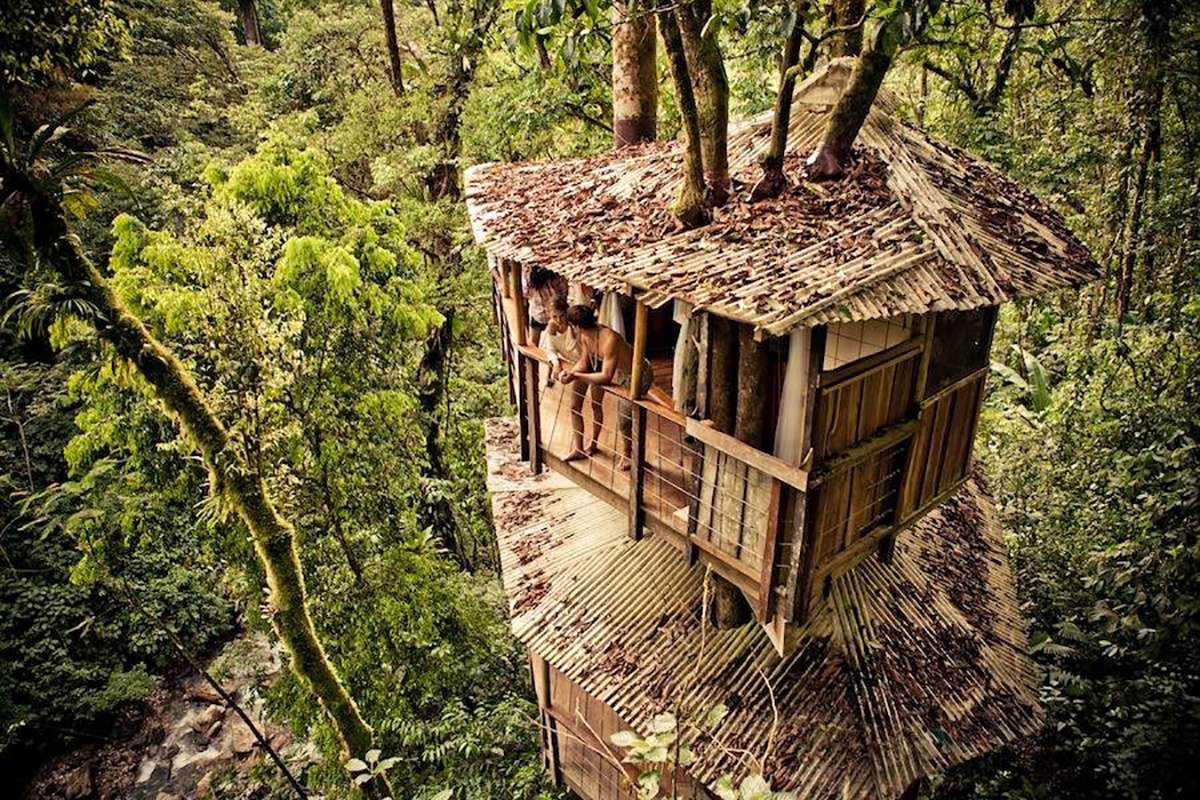 Домик на дереве. Коста Рика люди Хижина. Дом на дереве в Коста-Рика. Финка Беллависта. Алникский дом на дереве.